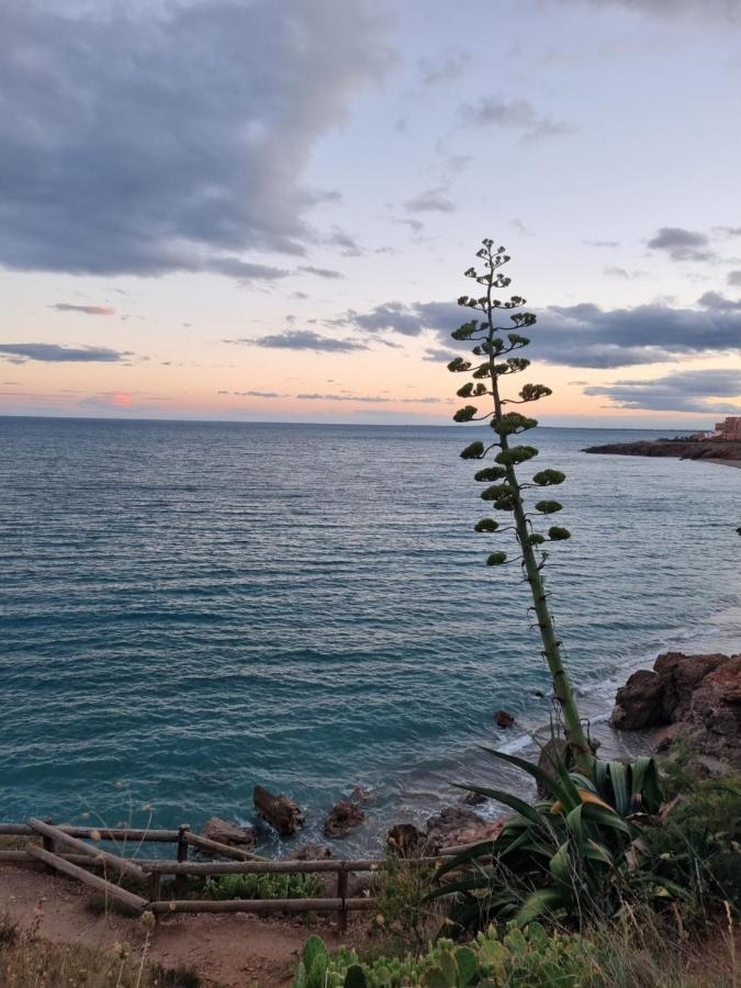 Sete Vue Mer Linge Fourni Leilighet Eksteriør bilde